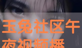 深夜视频在线,网络世界的奇妙瞬间